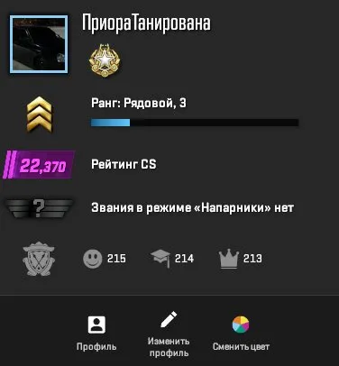 CS2 PRIME Смена данных STEAM полный доступ к акку премьер доступен 22370 elo rating, Продажа, Инвентарь пуст, Есть PRIME, 22370 CS Rating