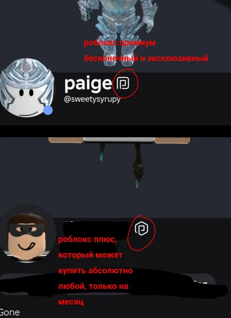аккаунт с бесконечным премиумом 110к тотал. каждый мес +450 робуксов, Продажа, Voice chat: Есть