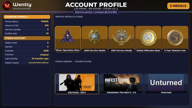 🔥 [CS2 PRIME] +5 RARE MEDALS: SILVER BROKEN NETWORK — 2019 | FULL ACCESS #4CIXR1, Sale, Inventory empty, PRIME available
