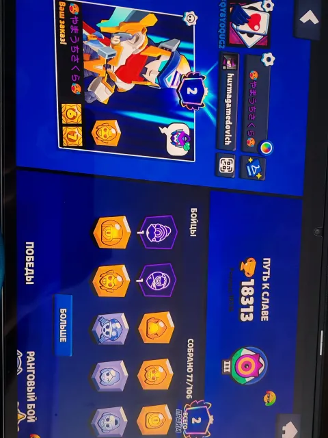🌟 Top Brawl Stars account with soul! (18k trophies / 216 gems / 22k+ coins), 18313 trophies, 77 brawlers, 2 primes