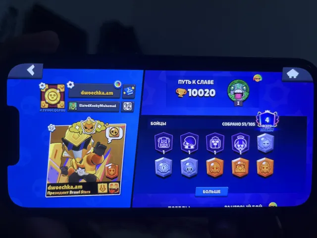 Bdbhdhdhdh, trophies 10000, brawlers 51, primes 4