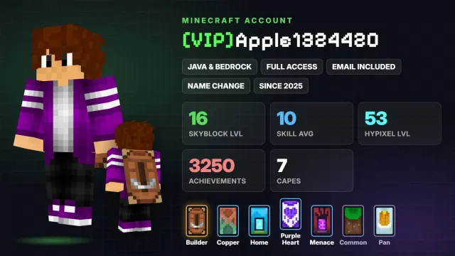 👑 [VIP] 🌱 SkyBlock Level 16 🦸 Cloaks (7): Builder, Copper, Home ✅ Java & Bedrock & full access, Sale, All account data
