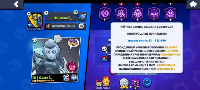 Account 20 years, rarely play, not needed, 57265 trophies, 106 brawlers, 30 primes