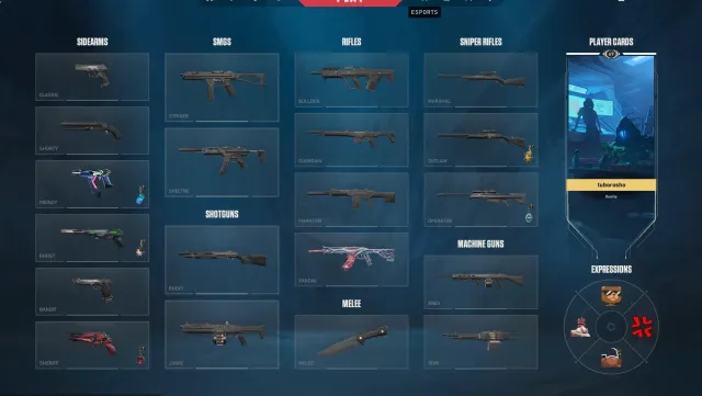 ❗VANDAL GAIA VENEGEANCE, BP SKINS, LOW PRICE❗❗, Sale, Platinum 2, Agents: 19, Skins: 4