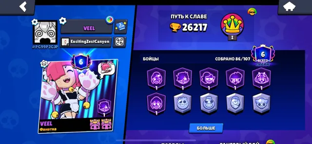 PERSONAL ACCOUNT💮BUNCH OF SKINS💮15K BLING💮67 GEMS💮26K CUPS💮7 PRIMES💮FULL REBIND💮, 26217 cups, 86 brawlers, 6 primes