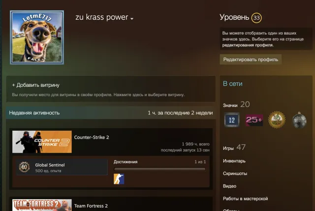 🌈🔥🟥14 МЕДАЛЕЙ + 24.6OO PREMIER🟨ВЕЧНО ЗЕЛЁНЫЙ TRUST🟨✅🔥33 LVL🔥🟢12 ЛЕТ ВЫСЛУГИ 💎ДОНАТНЫЕ ИГРЫ💎🔥, Продажа, Инвентарь пуст, Есть PRIME, 24650 CS Rating