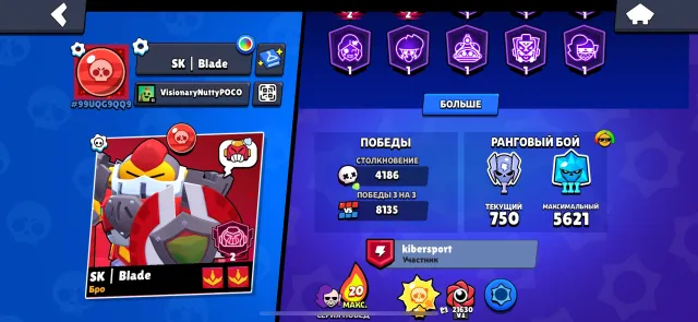sunny glory, account created in 2019, 73100 trophies, 107 brawlers, 51 primes
