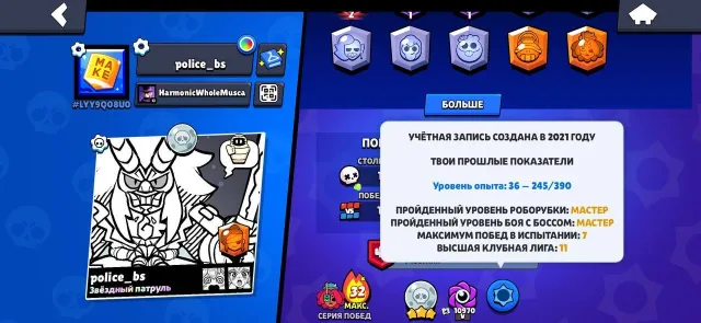 35149 trophies👨🦽, 106 brawlers👨🦽, 19 fighters level 11👨🦽, 265 skins👨🦽., 35149 trophies, 106 brawlers, 4 primes