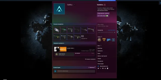 🔴🟣CS 2 PRIME 7000+ HOURS🟣✅KNIFE +68 SKINS✅🟣10 LVL STEAM🟣🟢5$ LIMIT REMOVED🟣🔴NATIVE MAIL🔴🟣, Sale, Available, Yes PRIME, Competitive
