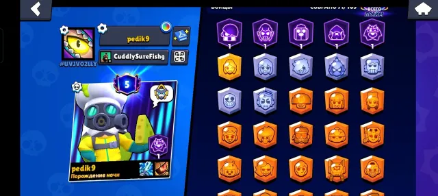 71 characters, 22,892 cups, 5 primaries, I’m selling them cheap., trophies 22892, brawlers 71, primes 5