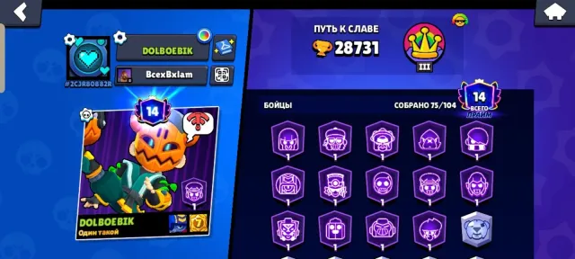 Twenty-eight thousand, seven hundred thirty-one trophies. Seventy-five brawlers, fourteen Primes., trophies 28731, brawlers 75, primes 14