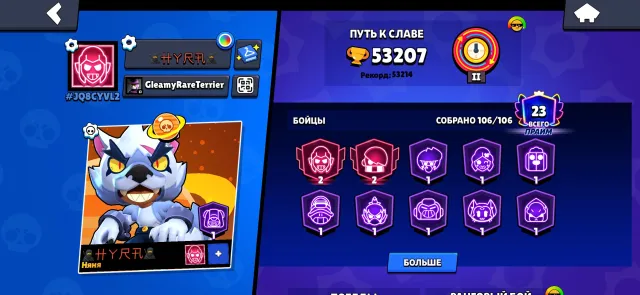 best account, 106 fighters 40+ 11 power, 53000 trophies, 106 brawlers, 23 primes