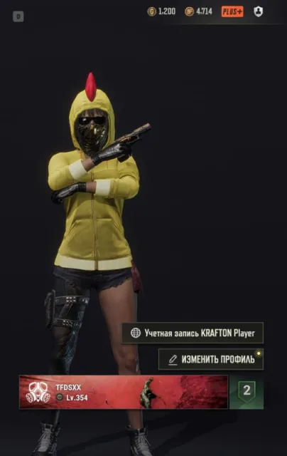 【✅】|【PUBG PLUS】|【🔸354 LvL🔸】|【💎1200 GC + 8 Чертежей💎】|【💠 Скины💠】|【🔰 ГАРАНТИЯ 🔰】|, Есть BATTLEGROUNDS Plus