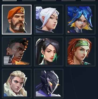 🖤XENOHUNTER \ VANDAL "REBEL" + VANDAL FLOWER \ FULL REBINDING \ TURKISH REGION🖤, Sale, Calibration, Agents: 8, Skins: 9
