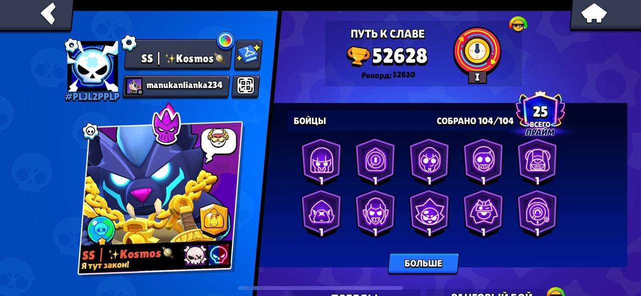 Re-linking 270 skins; all characters at Power Level 32/11., trophies 52000, brawlers 104