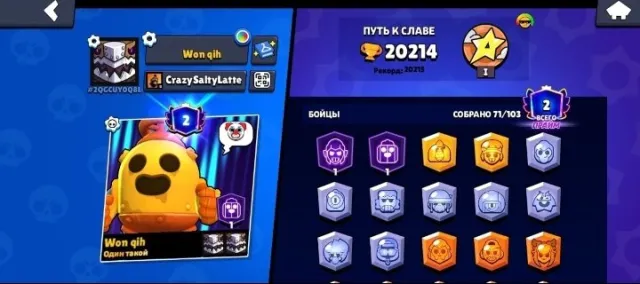 2 fighters on gold 8 on silver 27 on bronze 37 on wood, trophies 20, brawlers 71, primes 2