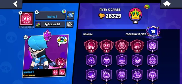 selling account for a cheap price, 28329 trophies, 59 brawlers, 19 primes