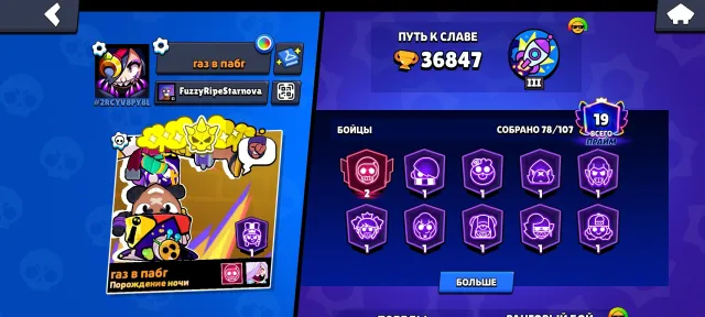 Top account with skins, fighters that are not in PRIME yet, 37200 trophies, 80 brawlers, 19 primes