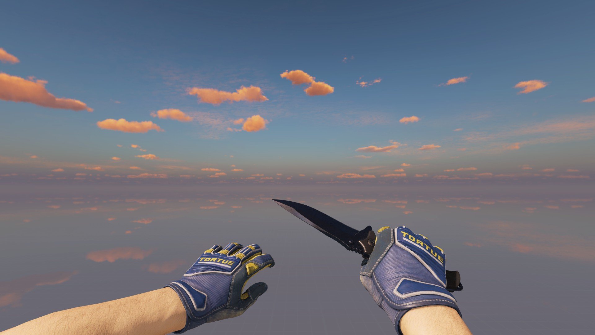 𝑽𝑰𝑷 🔵BLUE🔵🏠FOR HOME🏠❗KNIFE (Nomad)+GLOVES+SKINS💰INV 50k+⏱️6 HOURS⏱️🎁+1 HOUR FOR REVIEW🎁, Rent, Available, Yes PRIME, 16000 CS Rating, Competitive