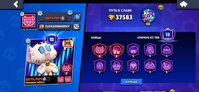 ✅AUTO DELIVERY✅🏆37583🏆 🗡️87 brawlers - 12 leg🗡️🔥12 PRIME🔥🎗️143 SKINS🎗️33 HYPERS🪀, 37583 trophies, 87 brawlers, 12 primes