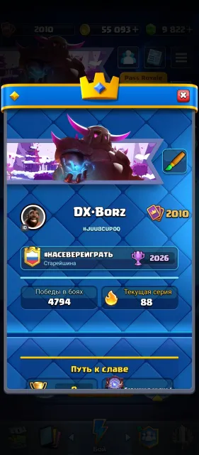 ✨CLASH ROYALE✨9000 GEMS🌟WITH MAIL⭐33 cards-16lvl✨33 EVOLUTIONS💫, 33 arena, 2010 level, 14000 trophies, 123 cards, 21 leg, No