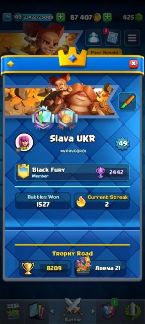 ⚡3 EVOLUTIONS 🔥 55 EMOJIS ⚡ 425 CRYSTALS 🔥 4 TOWER SKINS⚡ (❗️ACCOUNT OVERVIEW DESCRIPTION❗️), 21 arena, 49 level, 8209 trophies, 118 cards, No