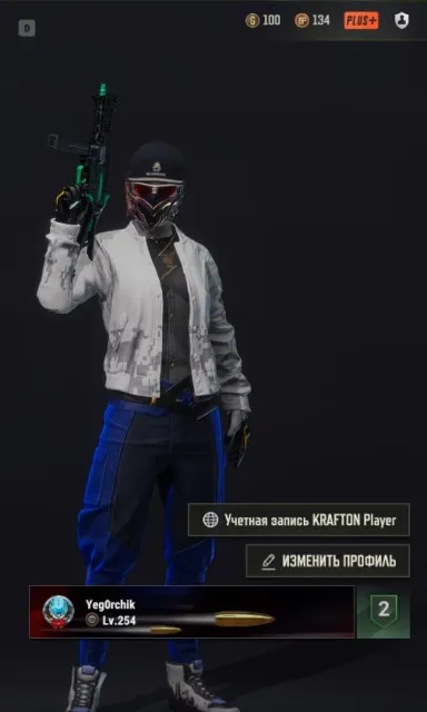 【✅】|【PUBG PLUS】|【🔸254 LvL🔸】|【💎3 Улуч. Оружия | Ауг 4 лвл + Ауг с хромой💎】【💠Ранкед💠】| ГАРАНТИЯ, Есть BATTLEGROUNDS Plus