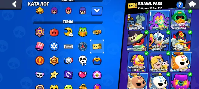 2019 account, 23 skins that will no longer be in the game, a lot of everything, 120000 trophies, 107 brawlers, 110 primes