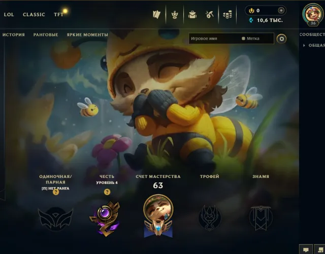 Good Account - for starting in ranks, Clean - has not played in ranks at all (only in TFT was Silver), Sale, level 36, champions 57, skins 11, No rank