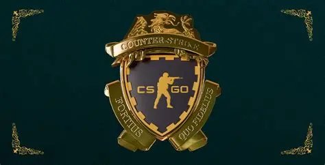 ✅ CS2 PRIME ACCOUNT | LV 10+ PREMIER READY | FULL ACCESS | EMAIL ACCESS | FACEIT READY ✅, Sale, Empty, Yes PRIME