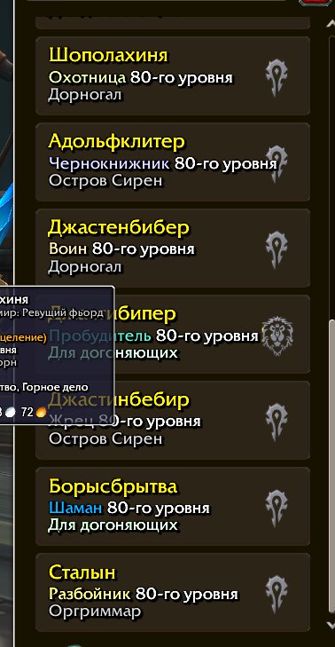 WoW The War Within Epic Edition, 80 level, Blood Elf, Demon Hunter