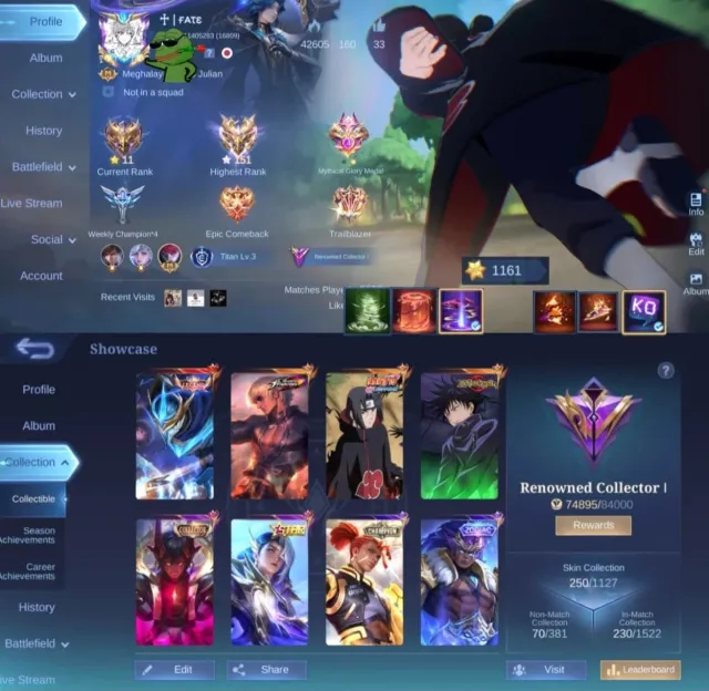 A good account for a forester, possibly a Gosen main., Sale, Rank: Mythic, Level: 64, Winrate: 52%, Heroes: 123, Skins: 253