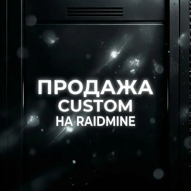 Selling a custom account on the RaidMine server, Sale, Partial account data
