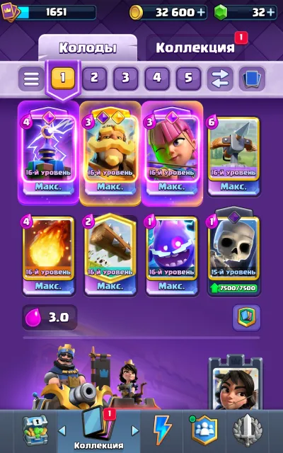 14K 11 cards level 16 top account pins / many tower skins 21 evo 6 heroic, 33 arena, 1651 level, 14000 trophies, 123 cards, 24 leg, No