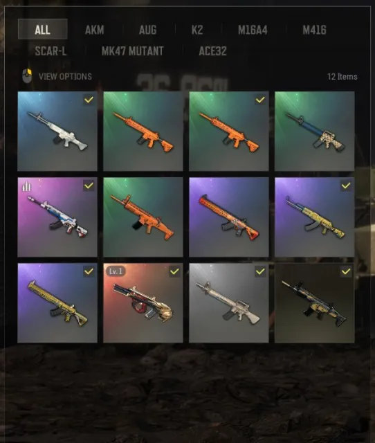 PUBG Account, Есть BATTLEGROUNDS Plus