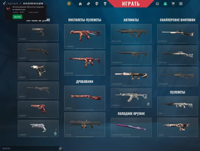 Full data change, personal account, Vandal wood, Sale, Gold 2, Agents: 14, Skins: 15