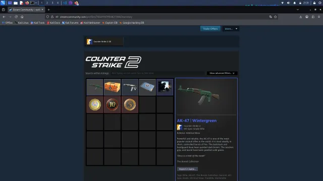 🟣❄️ STEAM 🟣【 CS2 PRIME / 3 MEDALS AND AK47-Wintergreen】 🟣COMPLETE DATA REPLACEMENT 🟣, Sale, Empty, Yes PRIME