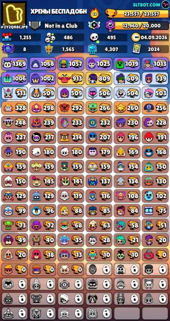🆔 Nick: ХРЕНЫ БЕСПАДОБН 🏷 TAG: #2Y2QR8CJP9, 23557 trophies, 87 brawlers, 8 primes