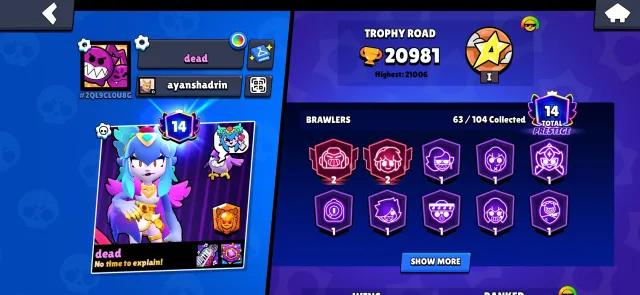 AKK FOR BRAWL STARS, trophies 20981, brawlers 63, primes 14
