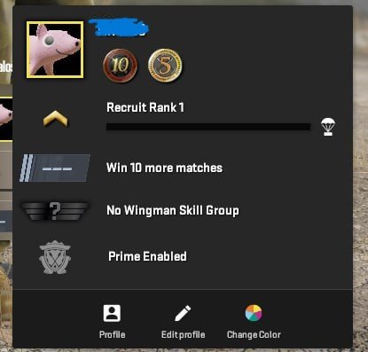 👑 CS 2 PRIME | 2 MEDALS | 5, 10 years | 🟢 TRUSTED | 🌎 GERMANY | FACEIT NOT LINKED | FULL ACCESS 🚀, Sale, Empty, Yes PRIME