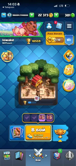 ⚡️Clash Royale Account, WOODCUTTER DECK⚡️, EMOTION MI-MI-MI (6 cards-16lvl)(5 cards-15lvl),(23 cards-14lvl),7 evo, 28 arena, 63 level, 11600 trophies, 121 cards, 20 leg, No