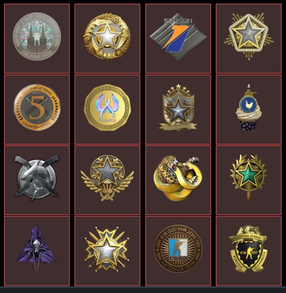 Steam account for main (16 medals, 42lvl Steam, 7 years), Sale, Empty, Yes PRIME, 19000 CS Rating, FACEIT, 1600 ELO, With registration: Yes