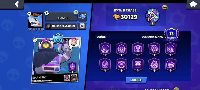 Old account 2022 🔥 BP+🤩 Lots of unique skins 🥇, trophies 30100, brawlers 83, primes 13