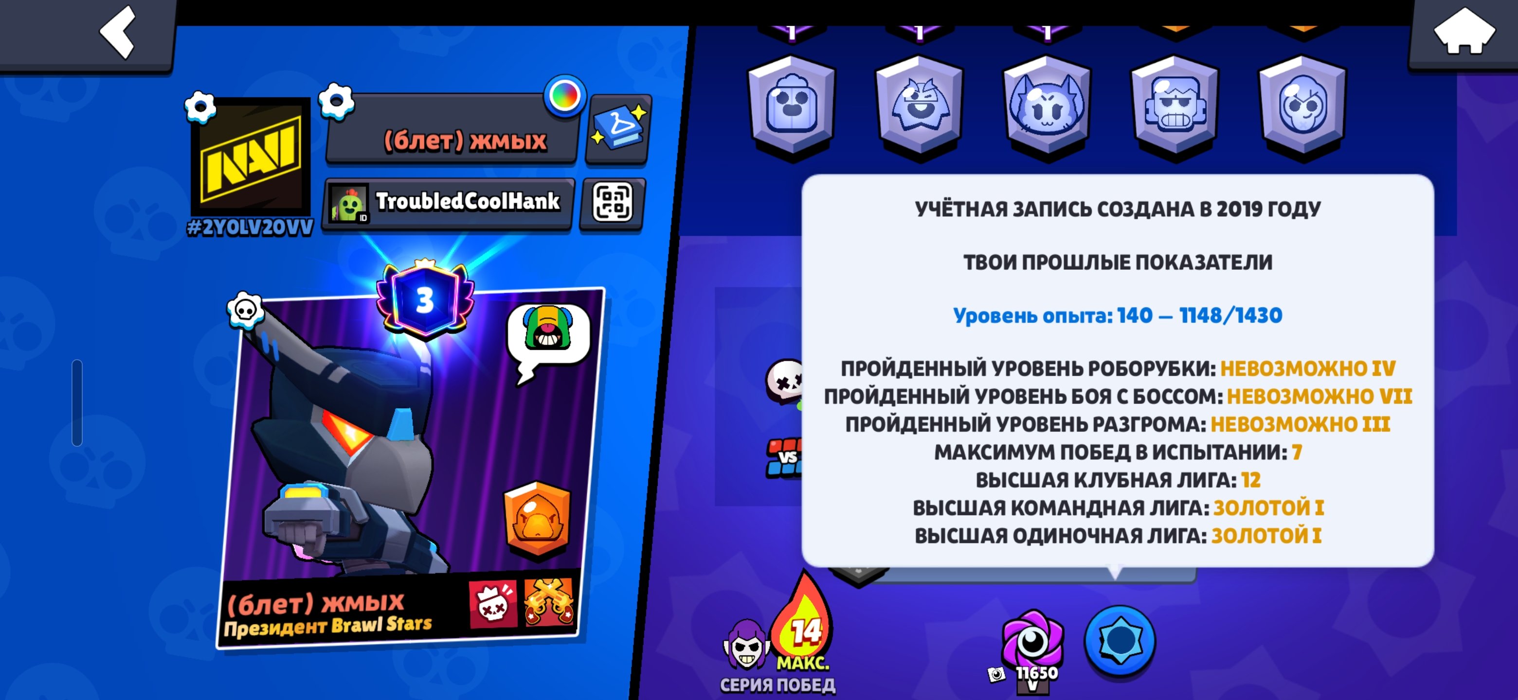 Old account from 2019 with many expensive skins as well as old skins., trophies 31000, brawlers 103, primes 3
