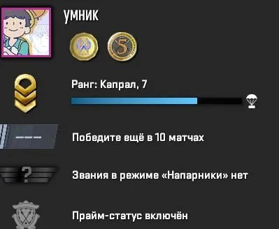 PRIME | INVENTORY 600 RUBLES | MEDALS | FULL REBINDING | 100% GUARANTEE, Sale, Inventory empty, Has PRIME, Competitive