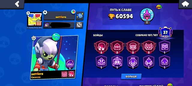 Colt Mecha, Mortis Mecha, Shiba Inu Nita, and many many other skins, 60000 trophies, 107 brawlers, 37 primes