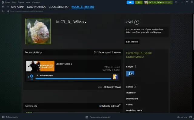 CS2 Personal Account, Premier 14712, Full Rebinding, Sale, Empty Inventory, Has PRIME, 14712 CS Rating, Competitive
