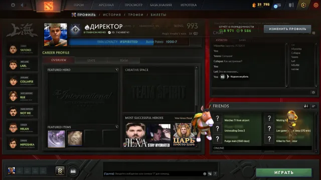 95 PERCENTILE DANS DOTA, IMMORTAL SUR STORM VIOLET ET PAYSAGE AQUATIQUE, Vente, 9586 intégrité, 8971 politesse, 97 matchs