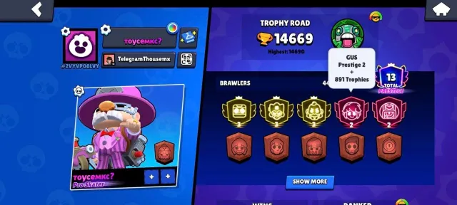 3 3 prime/ gas 2800/ stu 2600/ had 2 bps+, 14669 trophies, 44 brawlers, 13 primes