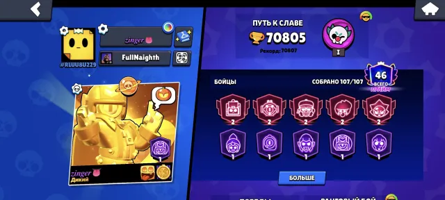Decent account for a beginner or intermediate player, 70805 trophies, 107 brawlers, 46 primes